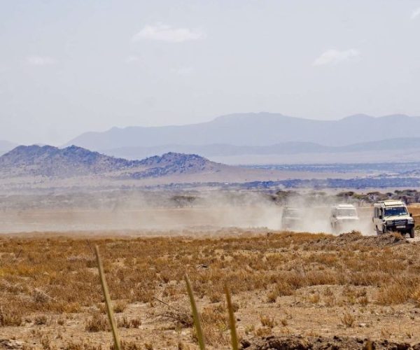 chui-safari-4-qqnzyhu1tkqb9xodtebp5q7mn5o33l01ox0p336bng