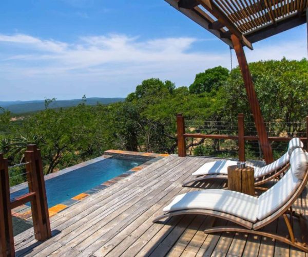 chui-safari-6-qqnzyjpq78svx5lnif4yapqjtxetiz7id6bo1n3jb0