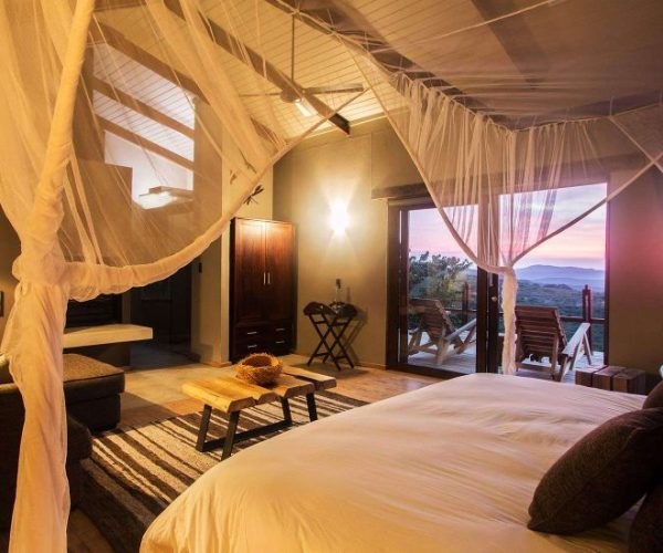 chui-safari-7-qqnzyknke2u68rkacxjkv7i0fba6qob8paz5ix254s