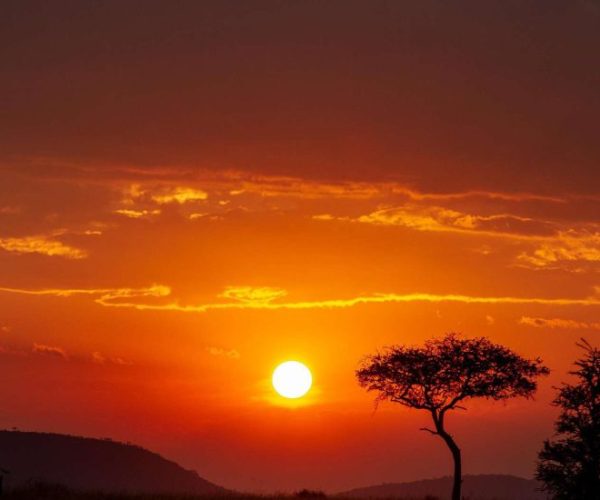 chui-safari-8-qqnzyllekwvgkdix7fy7fp9h0p5jydez1fmn070qyk