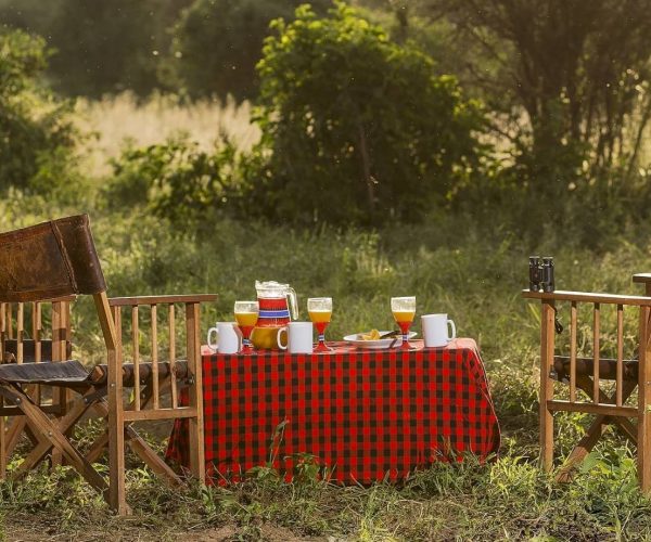cropIl-Ngwesi-Bush-Breakfast
