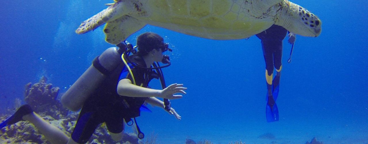 diver-2-Adventure-Blue-Vision