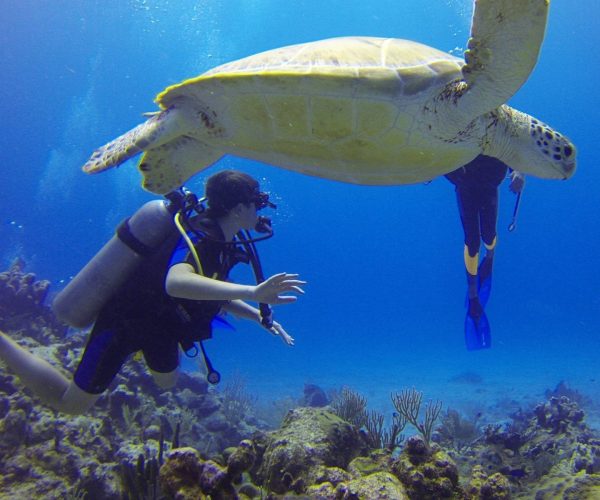 diver-2-Adventure-Blue-Vision