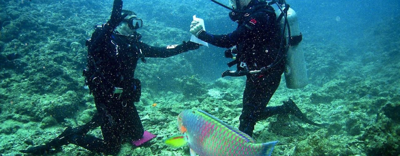 divers-Adventure-Blue-Vision