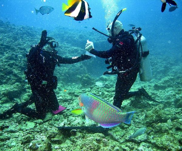 divers-Adventure-Blue-Vision