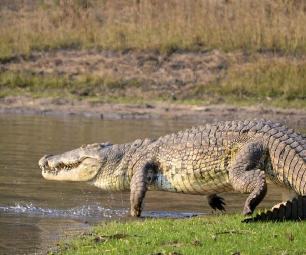 dsc_0816-qqo00qo65bsz0eeypd9m45t9qalnhjwyo14gcvugsc