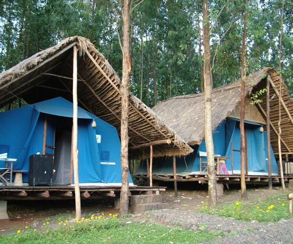 eco-omo-lodge