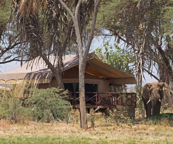 elephant-bedroom-camp