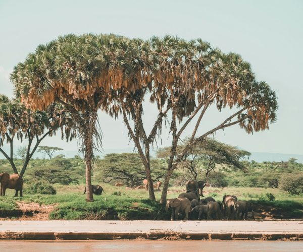 harshil-gudka-aHE2OxNCMwM-unsplash