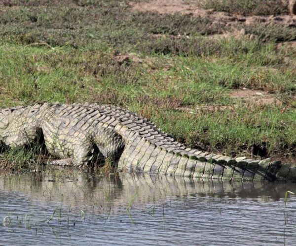 hd-wallpaper-g8bb753506_1920-qqo02etuaq3bnfzky39qjqmrqyd566js8avj2ld9q4