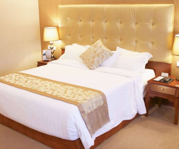 jupiter-international-bole-hotel3