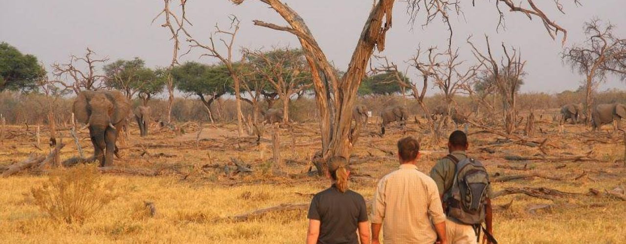 khwai-guest-house (6)