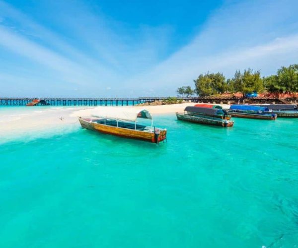 kiboko-safari-11-qqo0m6do0b5ds9a0j4ubh92pfmy0120la4q3d228vw