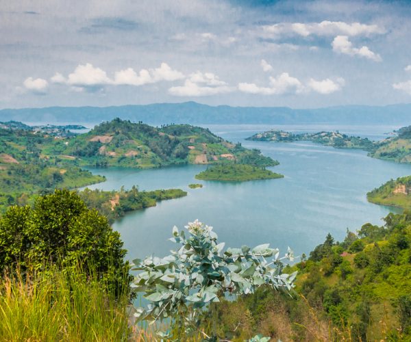 lac kivu (5)