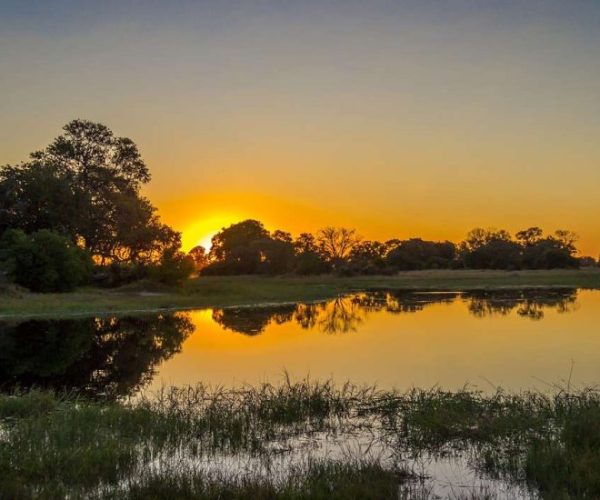 leopard-11-qqo0mdwdizfod4z3b83c176e6pwxqmufz5xz79r3i4