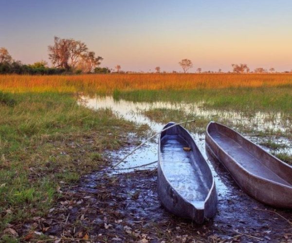 leopard-15-qqo0milkh5m3z6s9js4gvnzp5n9rt4d3nt7elnk4n0