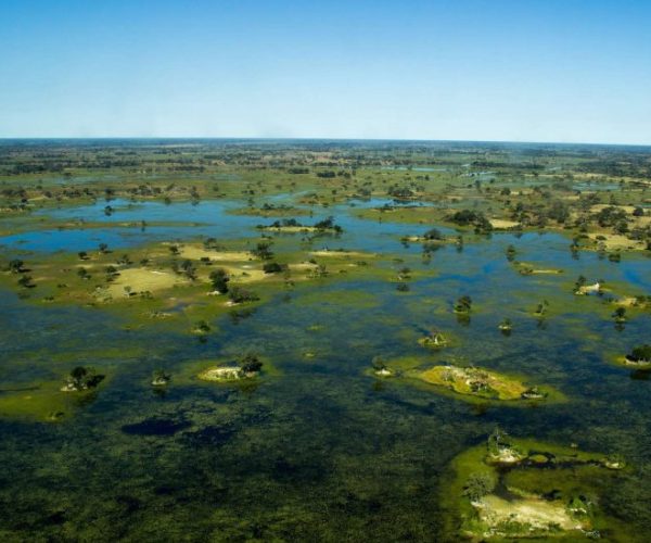 leopard-8-1-qqo0ma50rnaj2p4jx6gtr84jt6fgvufimnc1a5wo70