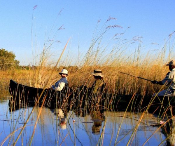 leopard-9-scaled-qqo0mc0p5bd3px1tm7a2w7ngzy67b8mzawn08ptvuk