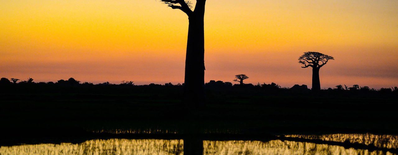 madagascar-g08068a545_1920