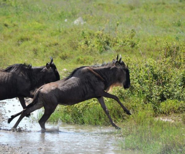 magical-1-scaled-qqo042zig4doahk76t9uzbg9rm4mut6lskmlsaw2nw