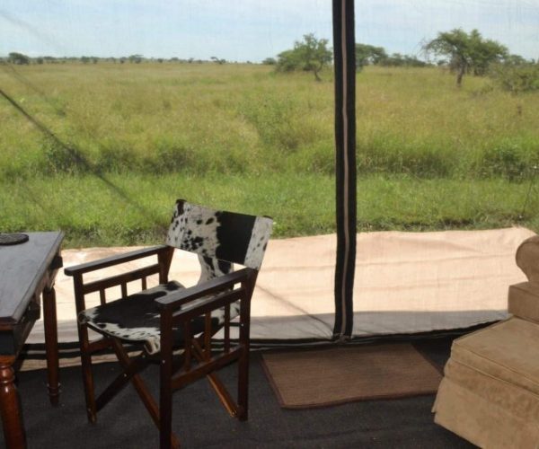 magical-11-scaled-qqo04e9kq4t45t3tcy5dt8lsw8l1f6fdu4gfjmfcl8