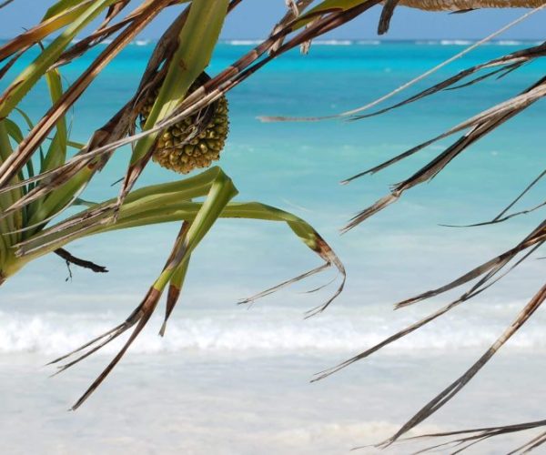 magical-12-scaled-qqo04f7ewyuehf2g7gk0dqd9hmgemvj4693x0wdyf0