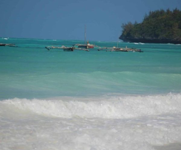 magical-15-scaled-qqo04i0xhgy9g8ycqzrw37nn9s2i9yub6n2dgq9rwc