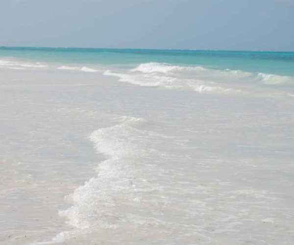 magical-16-scaled-qqo04iyroazjruwzli6inpf3v5xvhny1irpuy08dq4