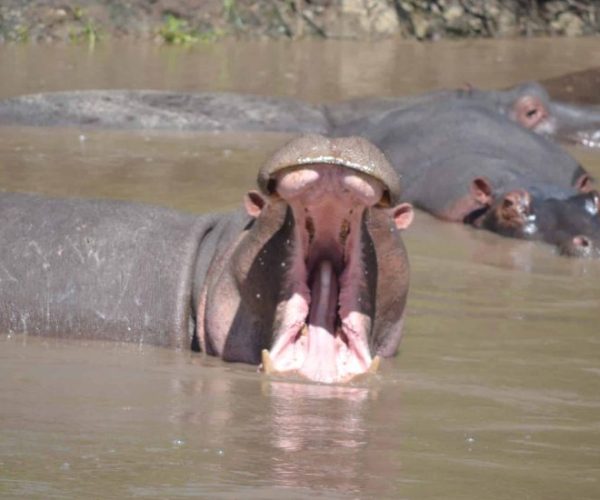 magical-17-scaled-qqo04jwlv50u3gvmg0l5876kgjt8pd1ruwdcfa6zjw