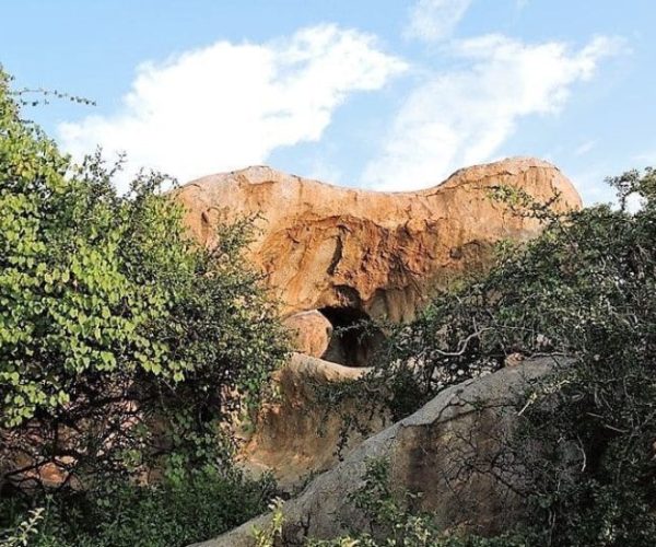 magical-3-qqo044v6tsg8xphgvu344az6ydvda7e2gtxkqutabg