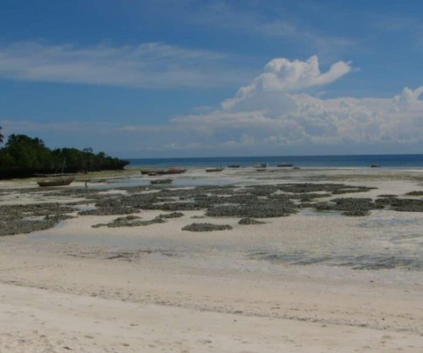 magical-4-qqo045t10mhj9bg3qchqosqnjrqqhwhssyl284rw58