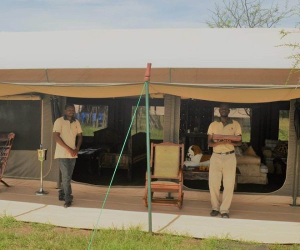 magical-8-scaled-qqo04bg25mp96z7wtexi3rbf42yxs346tqhz3sjj3w