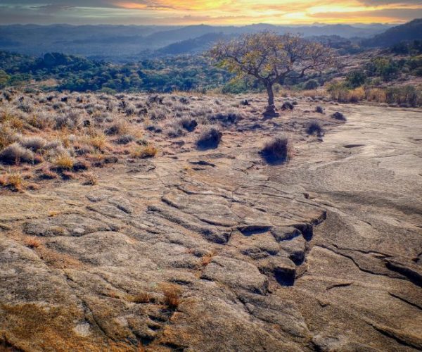 matobo-hills-g41a2a4f3c_1920-2-qqo04x2citium0cib69x73v0ry0dp4i0kpi555nh4s