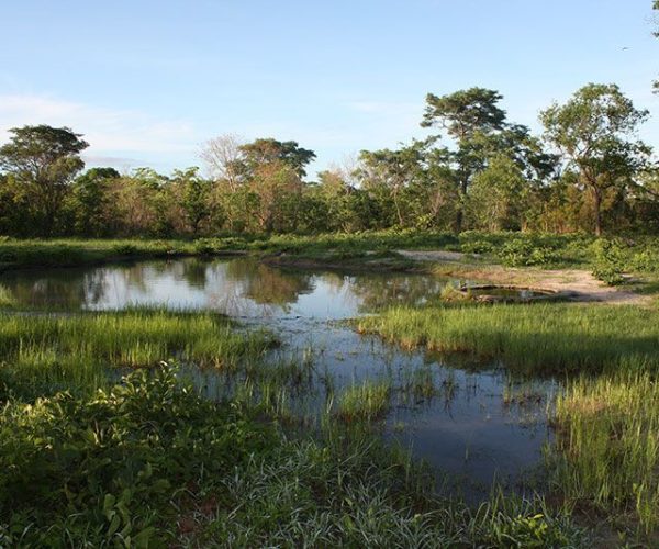 miombo safari camp (2)