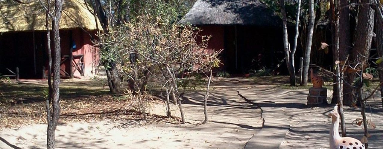 miombo safari camp (4)