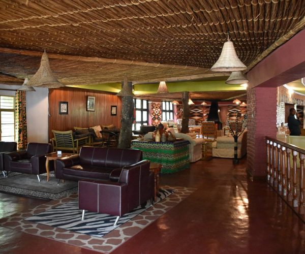 mountain-gorilla-view1