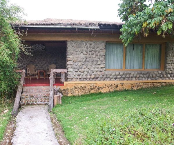 mountain-gorilla-view4