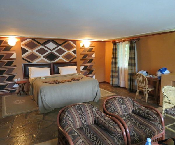 mountain-gorilla-view5