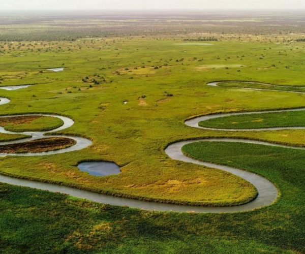 okavango-delta-g879f86582_1920-qqo06gitq1mrn03ybc8ws7v7tof1b9m6gbzsghd8xo