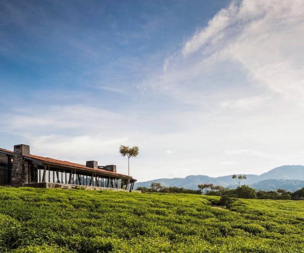 one-only-nyungwe-house2