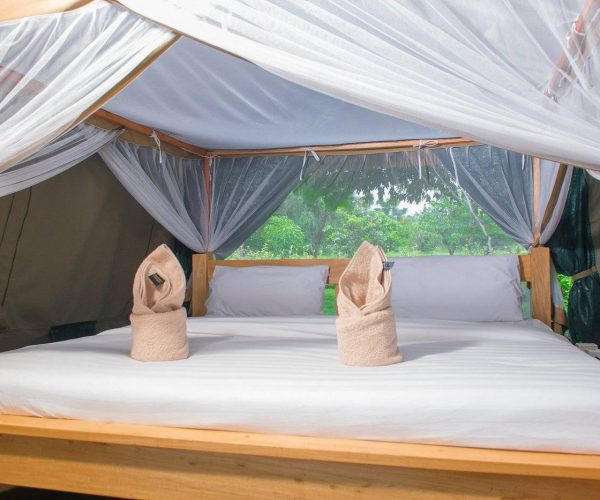 queen-elizabeth-bush1