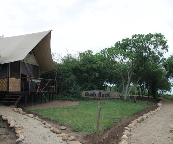 queen-elizabeth-bush2