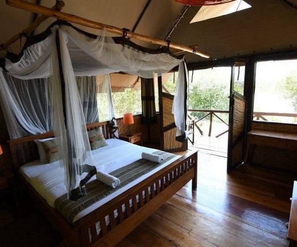 queen-elizabeth-bush3