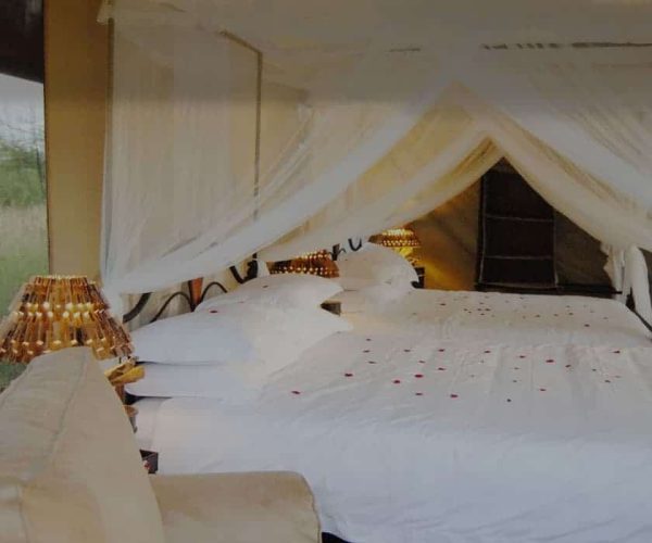 rengeti-Tanzania-Bush-Camp-1