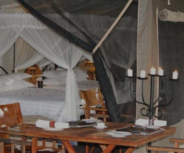 rengeti-Tanzania-Bush-Camp-4
