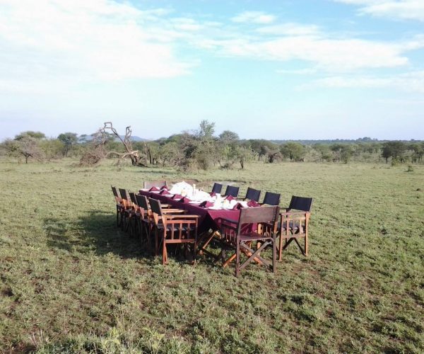 rengeti-Tanzania-Bush-Camp-6