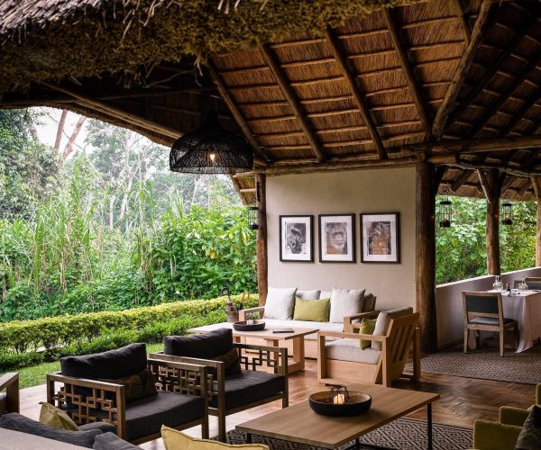 sanctuary-gorilla-forest1