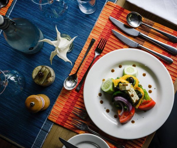 sanctuary-gorilla-forest2