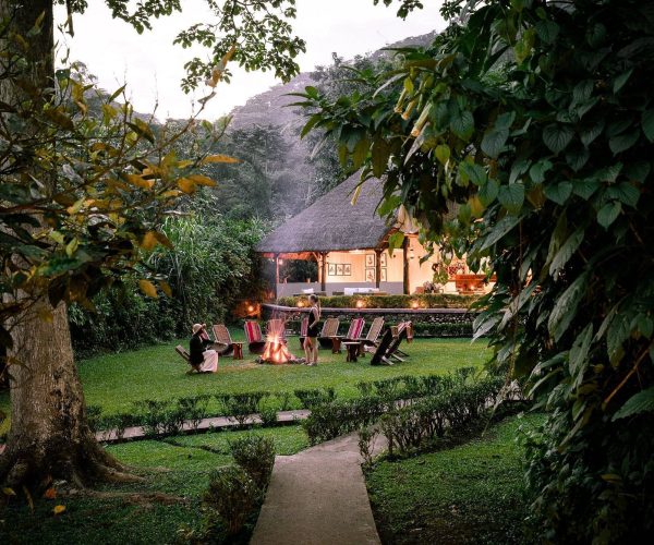 sanctuary-gorilla-forest3