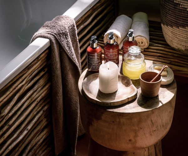 sanctuary-gorilla-forest5